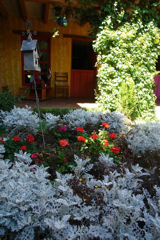 Hotel Posada Primavera San Cristóbal de Las Casas المظهر الخارجي الصورة