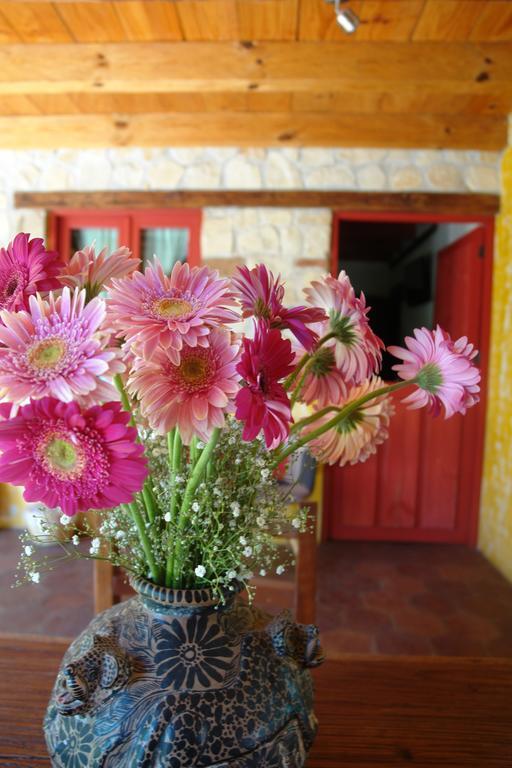 Hotel Posada Primavera San Cristóbal de Las Casas المظهر الخارجي الصورة